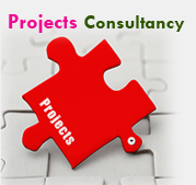 Peoject consultancy services by Techvynsys
